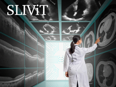 Accurate prediction of disease-risk factors from volumetric medical scans by a deep vision model pre-trained with 2D scans