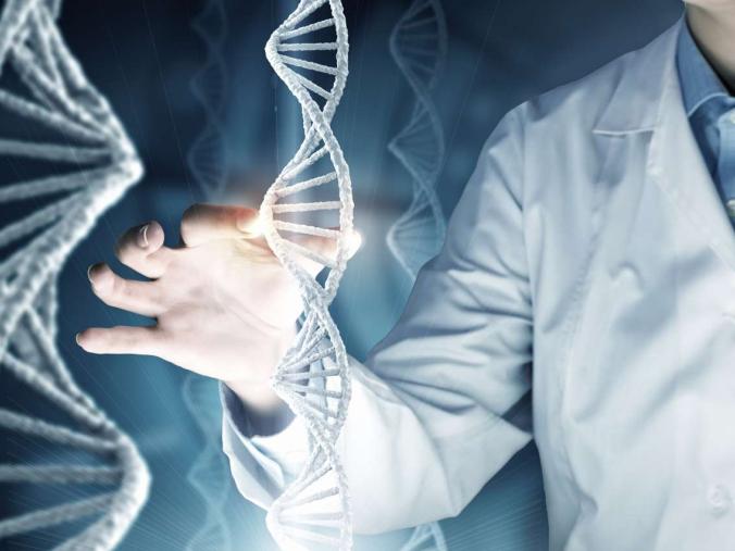 Researchers map epigenomic landscapes of fat tissue cells