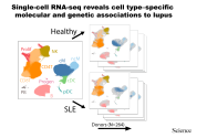 IMMUNOGENOMICS