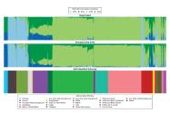 UCLA Scientists Develop New Algorithms to Study Genomic Data