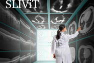 Accurate prediction of disease-risk factors from volumetric medical scans by a deep vision model pre-trained with 2D scans